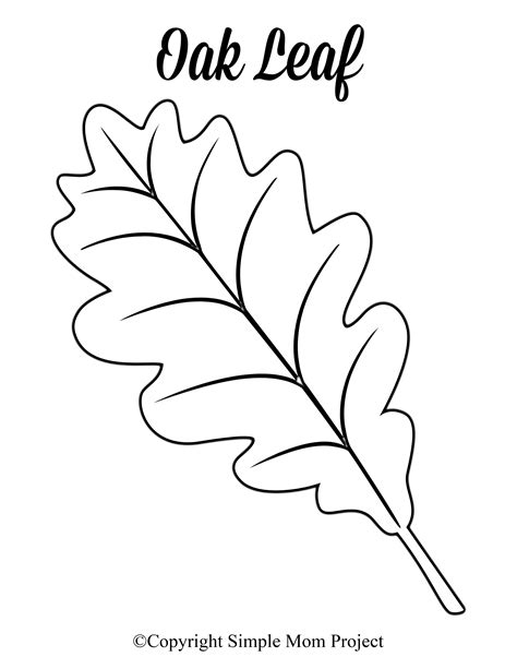 free images of leaves|free printable leaf images.